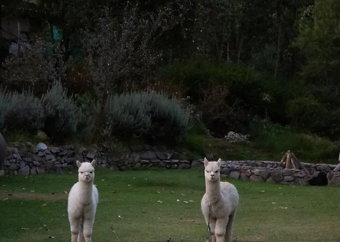 Qasa Valle Sagrado By Nomad Sacred Valley